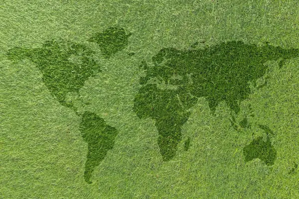 Image for article titled Carbon Neutral Organisation